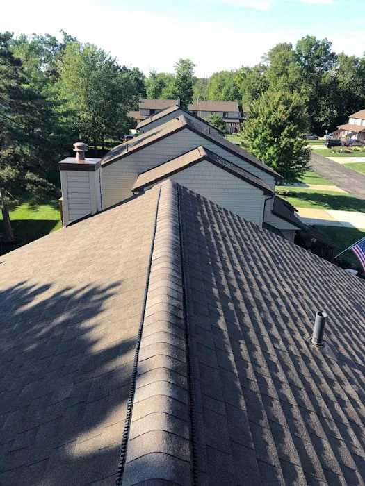 JBL Roofing & Construction Inc. Picture 5