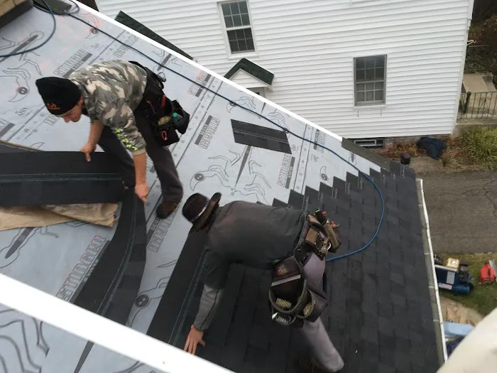 Alpha Roofing and Construction Picture 1