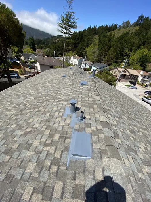 Gambies & Sons Roofing Picture 1