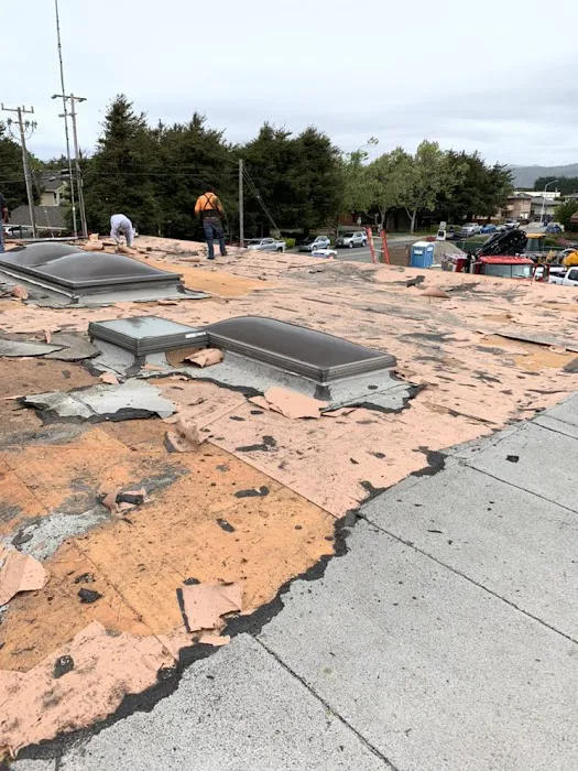 Gambies & Sons Roofing Picture 4