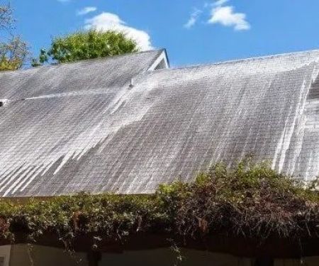 Leak Enders Roof Leak Repair