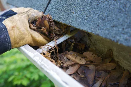 Leak Enders Roof Leak Repair Picture 3