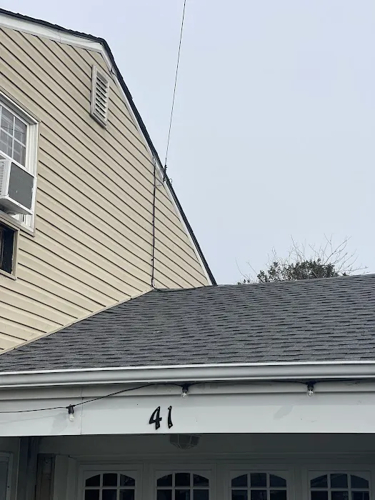 Bird Construction Picture 1