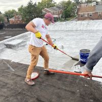 Flat Roof Company ico