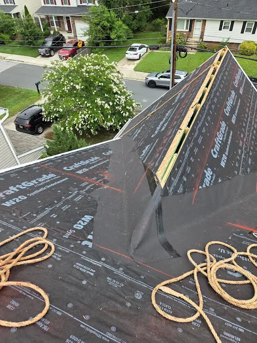 Terrapin Roofing Picture 1