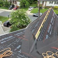Terrapin Roofing ico