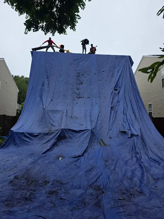 Terrapin Roofing Picture 3