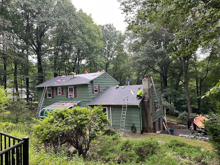 Boundless Roofing & Chimney Picture 6