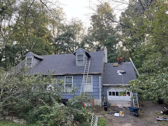Boundless Roofing & Chimney Picture 10