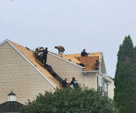 MLM Home Improvement