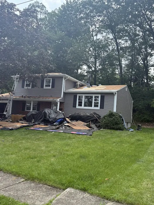 Storm Guard Roof Repair Picture 3