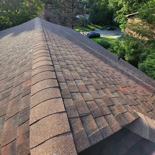 Storm Guard Roof Repair Picture 6