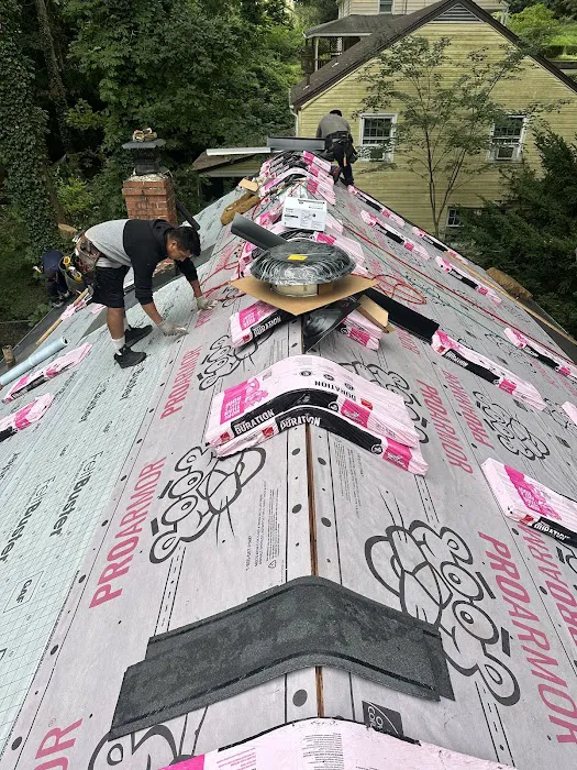 Eagle Exteriors Picture 5