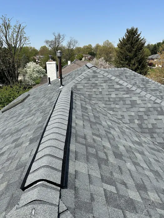 Eagle Exteriors Picture 8