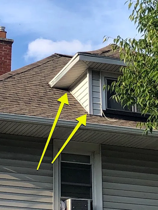 Roof Rangers Picture 3
