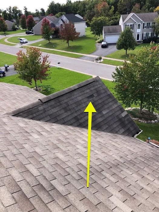Roof Rangers Picture 9
