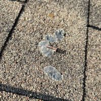 Summit Roofing ico