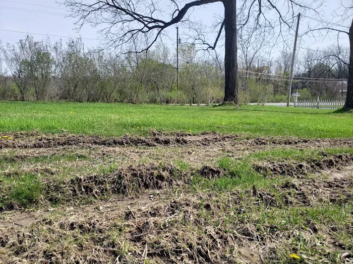 Lakeview Construction LLC Picture 8