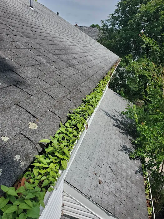 Beddia Contracting Picture 3