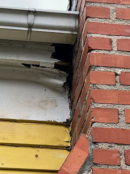 Ace Handyman Services Rochester South and East Picture 5