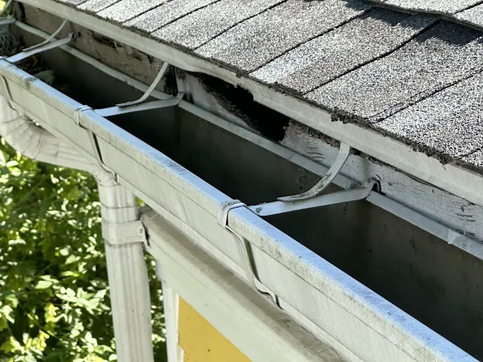 Ace Handyman Services Rochester South and East Picture 6