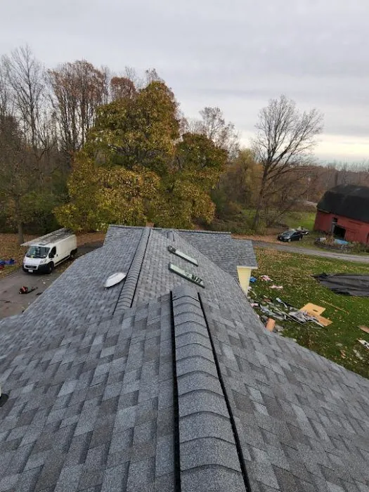 Carter Roofing & Exteriors - Roofing Services Picture 3