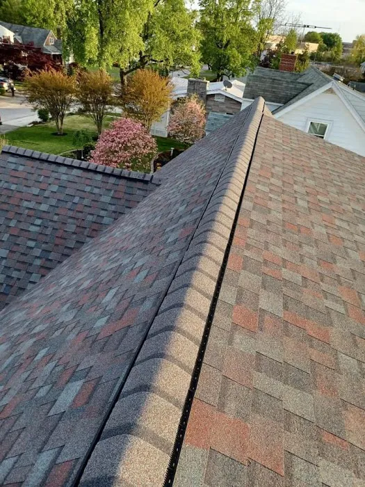 Lane Home Improvement LLC Picture 7