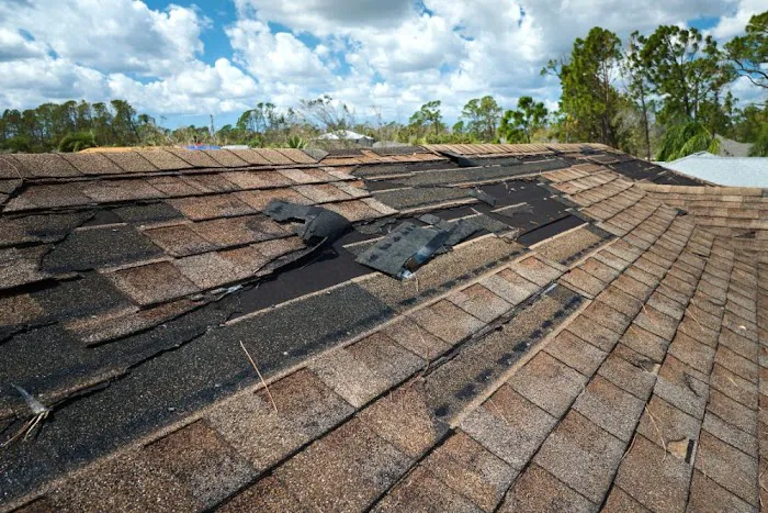 AI Roofing Picture 4