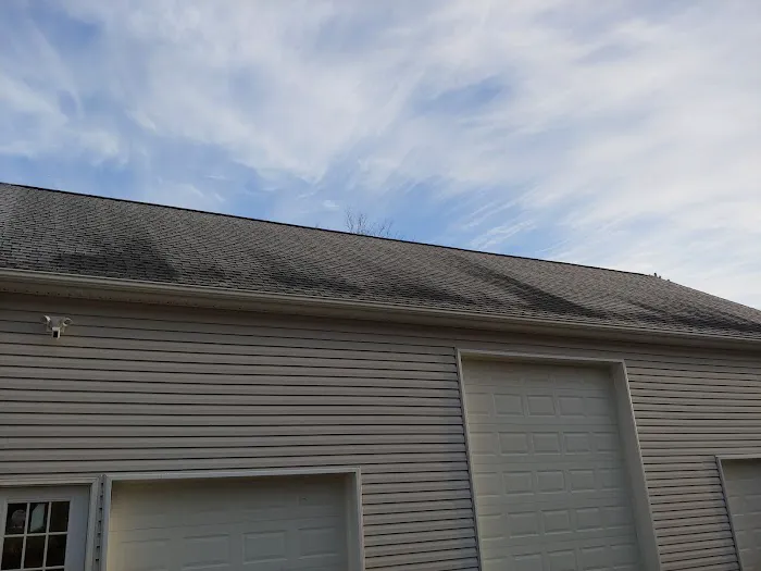 Bel Air Foam & Roofing Picture 4