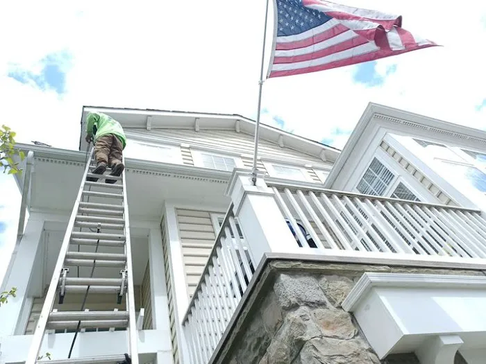 ALP Roofing Picture 4