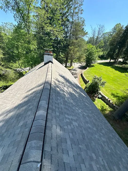 ALP Roofing Picture 6
