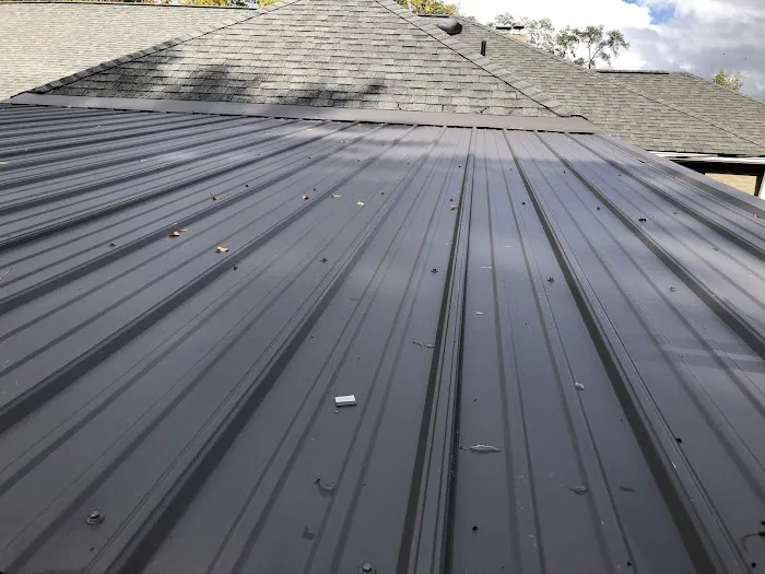 Lake Erie Metal For Shingles Picture 3