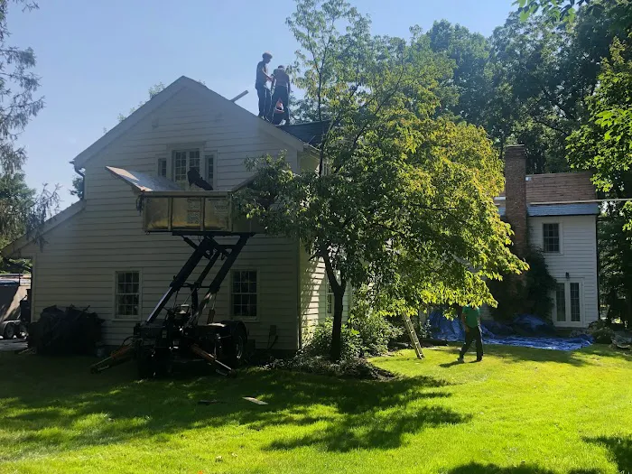 Platinum Roofing & Construction Picture 5