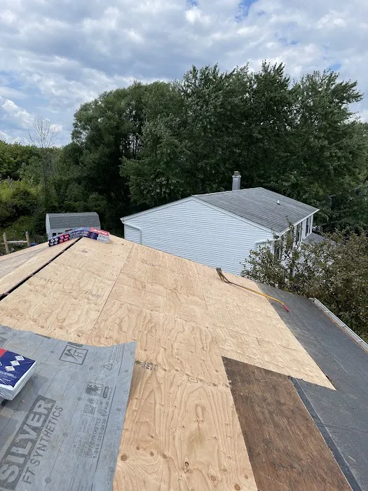 Thrifty Roofs Picture 2
