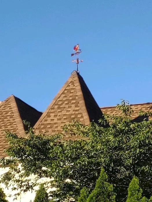 Thrifty Roofs Picture 1
