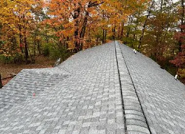 Shane Fisk Roofing Company Inc. Picture 2