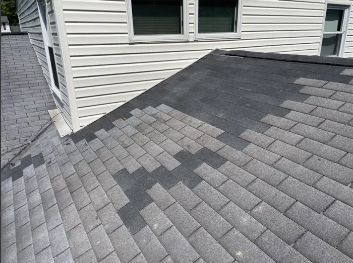 Shane Fisk Roofing Company Inc. Picture 9