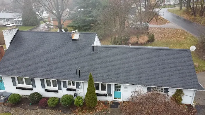 Blue Roofing and Gutters Picture 10