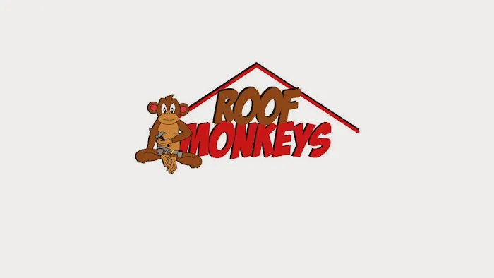 Roof Monkeys Picture 1