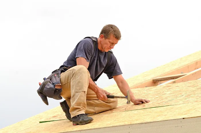 The Local Roofing Guys Picture 1