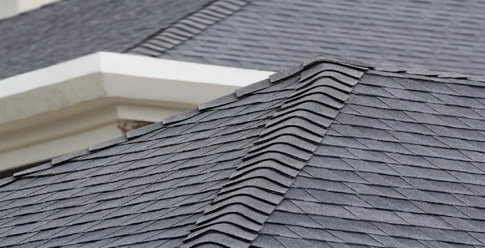 Talon Roofing Picture 4