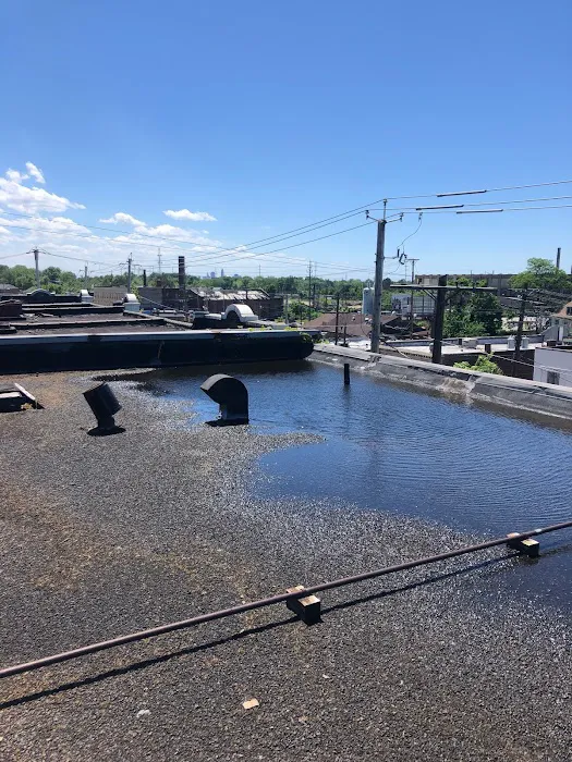 Talon Roofing Picture 9