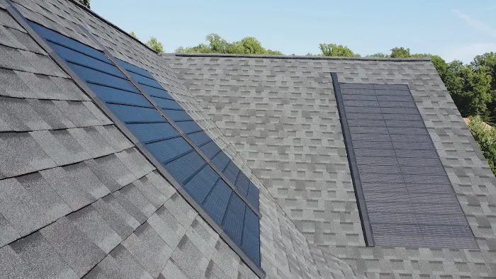 Campo Roof Picture 8