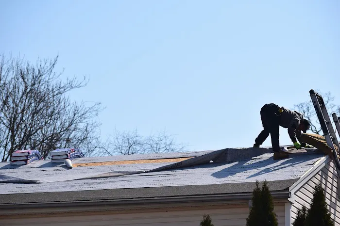 Deegan Roofing Picture 4