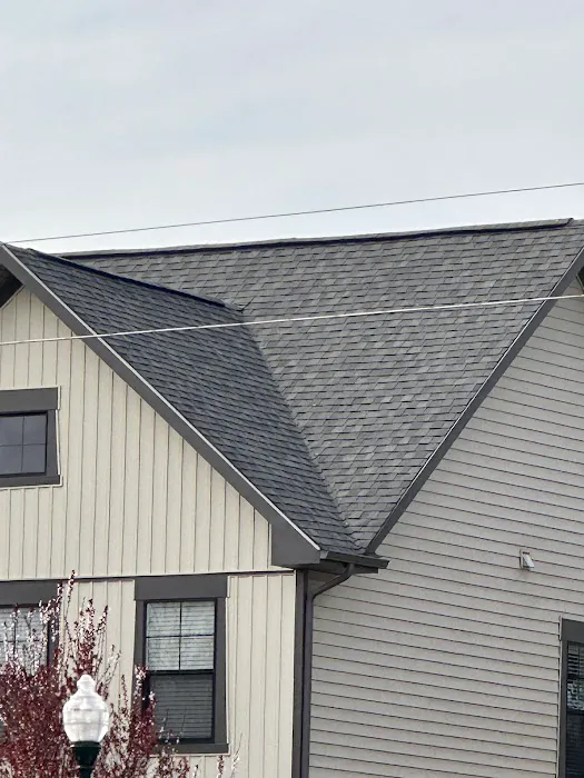 Golden Tree Roofing Picture 1