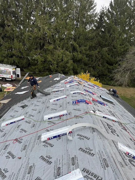 Raidex construction llc Picture 9