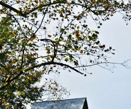 Top Pro Roofing Repair Morris Plains