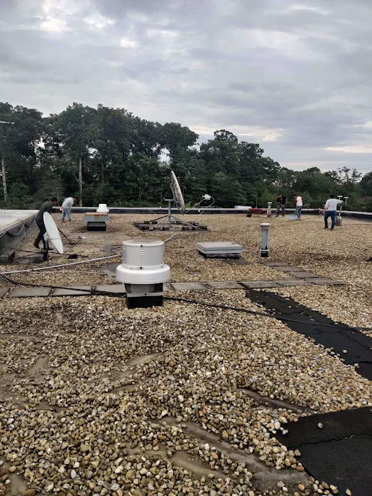 Lion Roofing LLC Picture 4