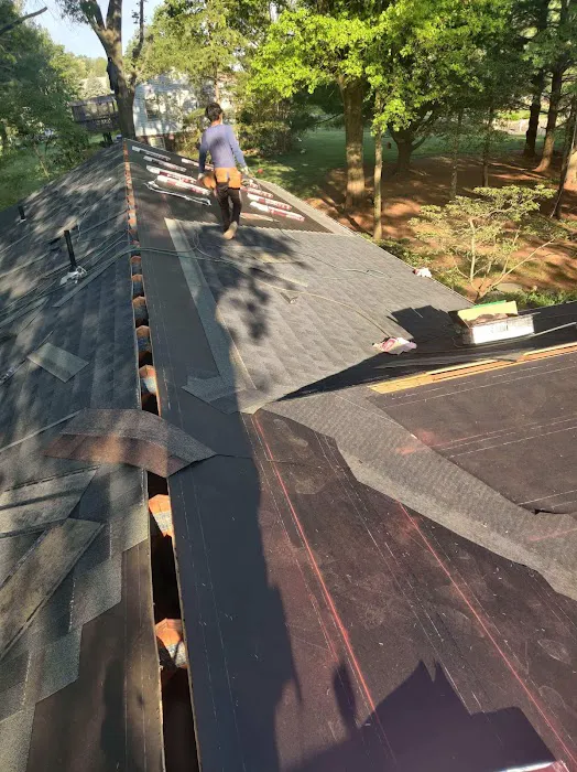 Lion Roofing LLC Picture 7