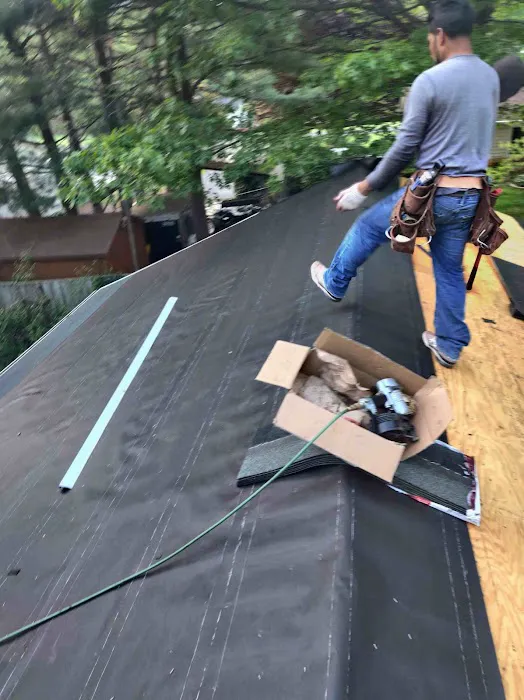 Lion Roofing LLC Picture 10